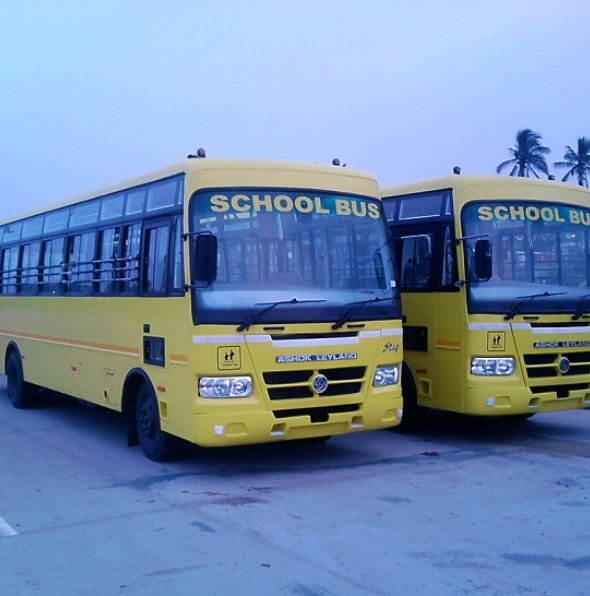 School Bus Transport